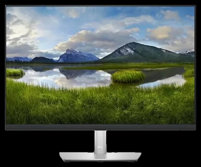 Monitor DELL P2423 24 INCH